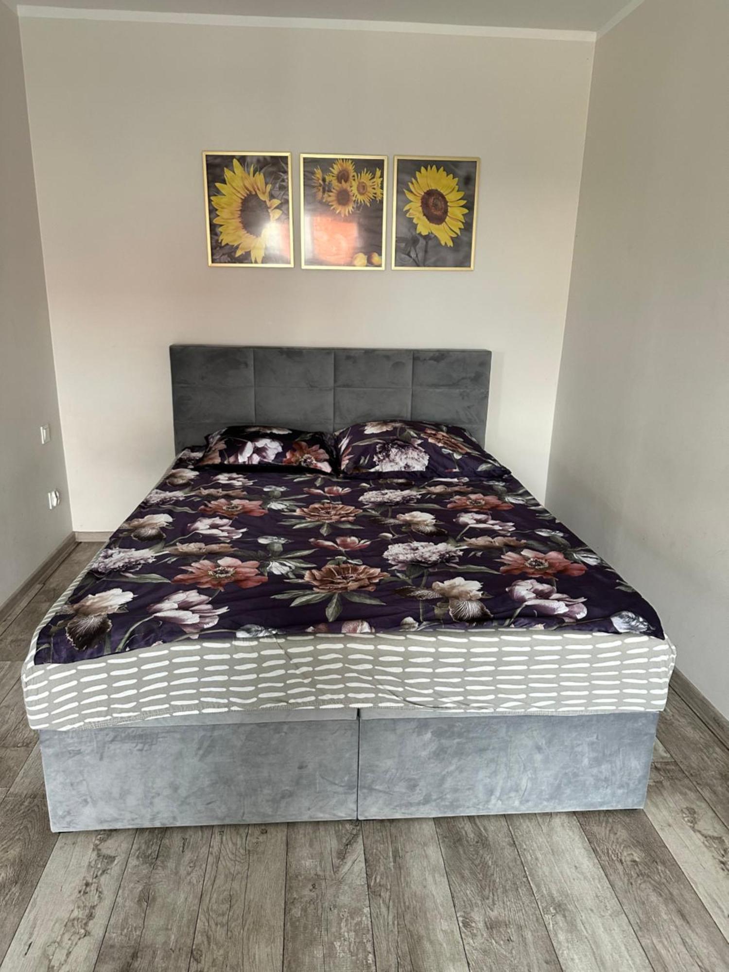Apartamenty Bezrzecze ชเตชชิน ภายนอก รูปภาพ